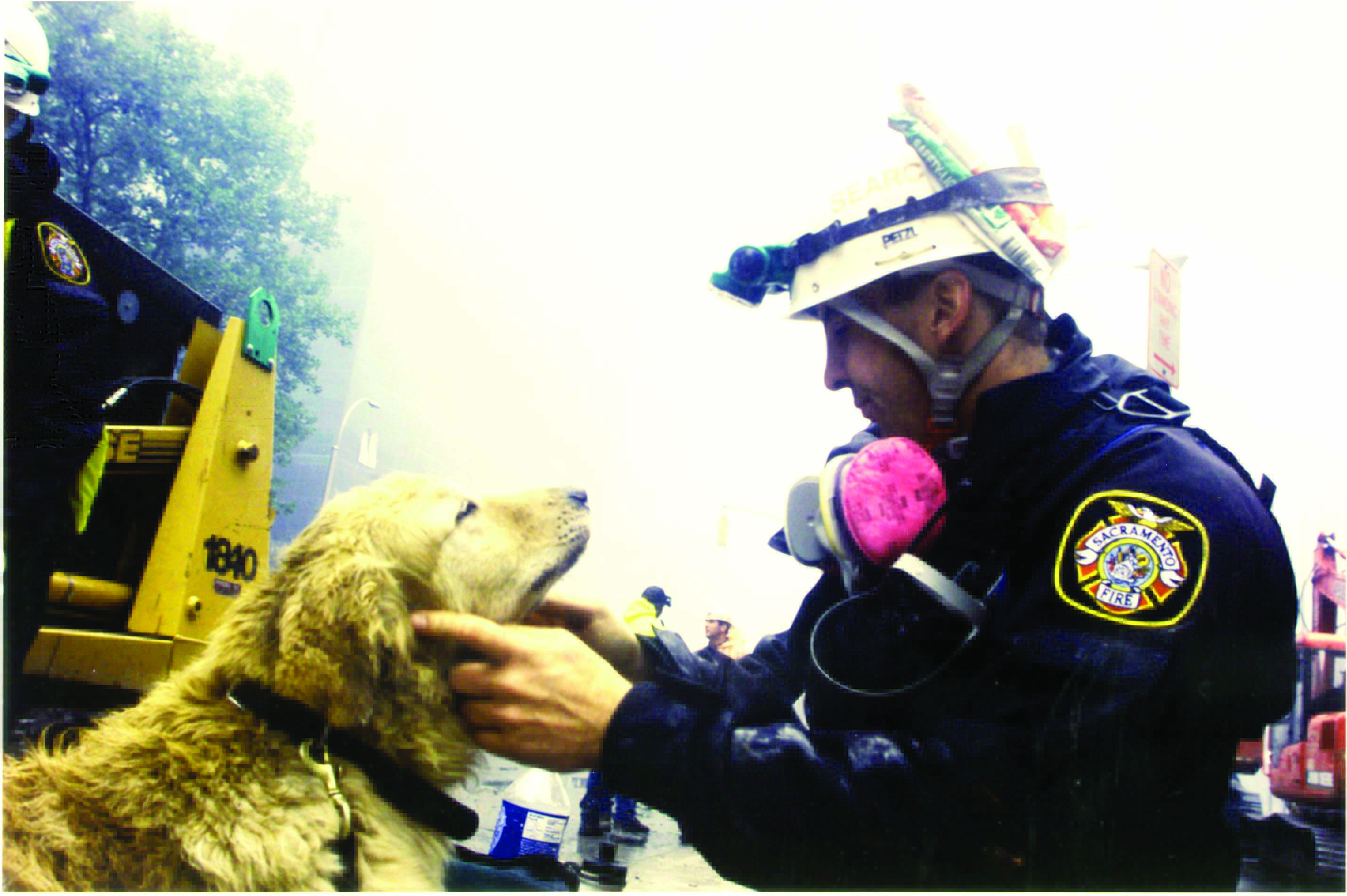 The Canine Heroes of September 11, 2001