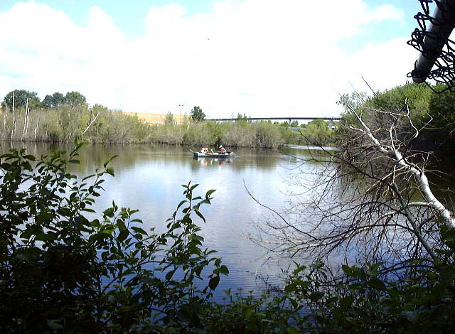 Sediments and habitat quality at Mystic Lakes in Woburn, Middlesex County, Massachusetts, have been injured by hazardous substances released at the Industri-Plex NPL site. Photo credit: EPA.