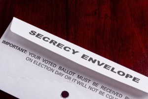 Voter envelope
