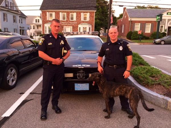 North Andover’s New  K9 Officer Has Arrived