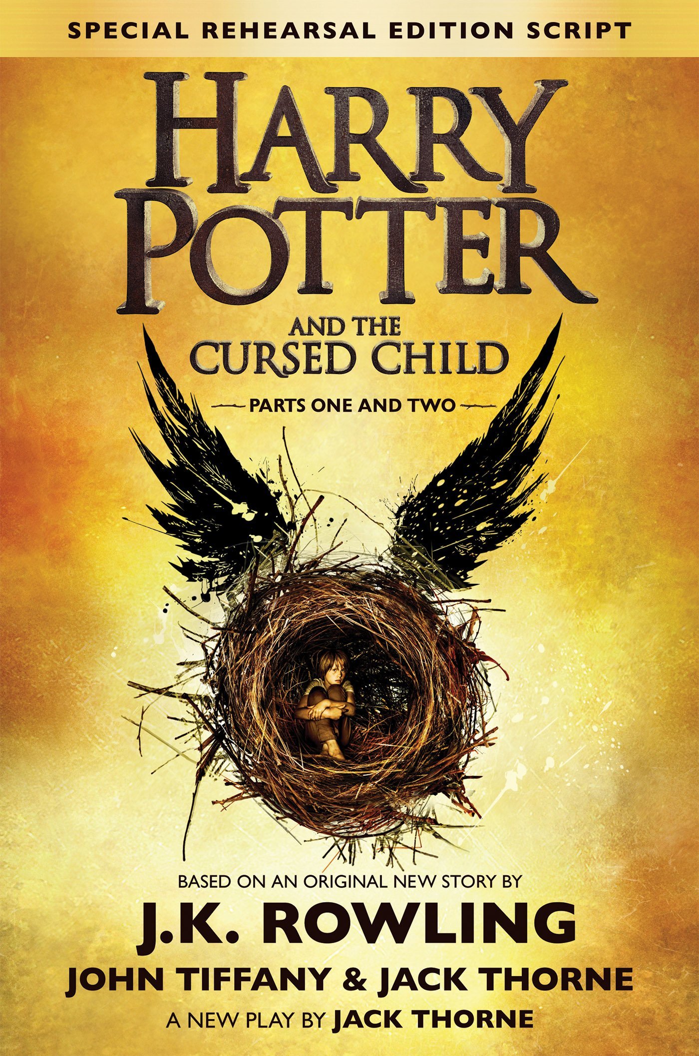 BOOK REVIEW ~ THE NEW HARRY POTTER