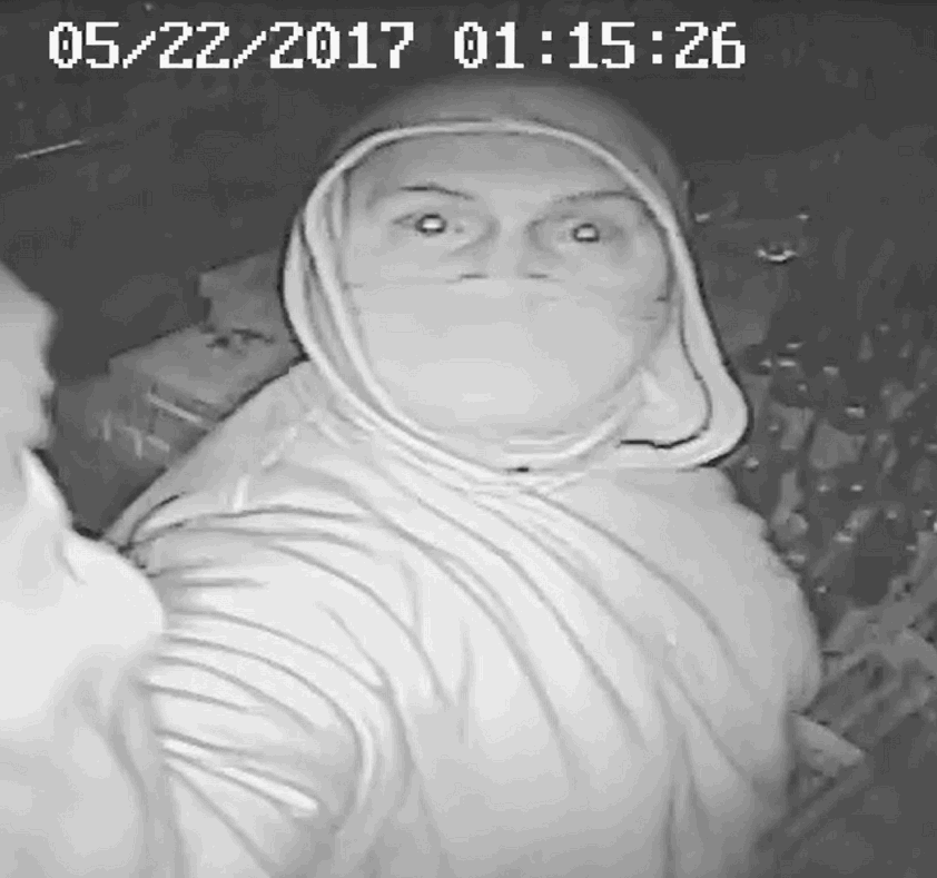 North Andover Police Seek Public’s Help Finding Breaking and Entering