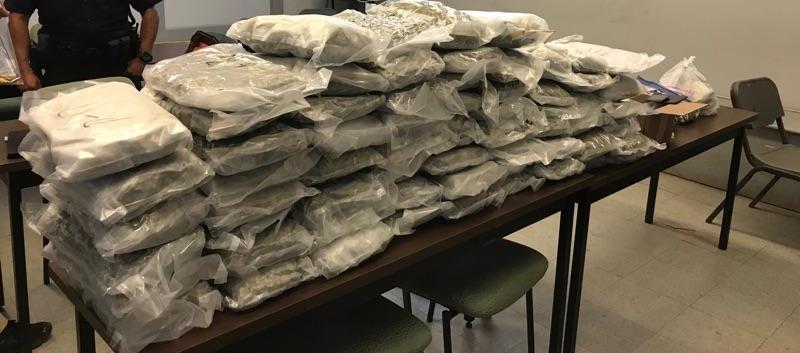 Traffic Accident in Lawrence Leads to Major Pot Bust