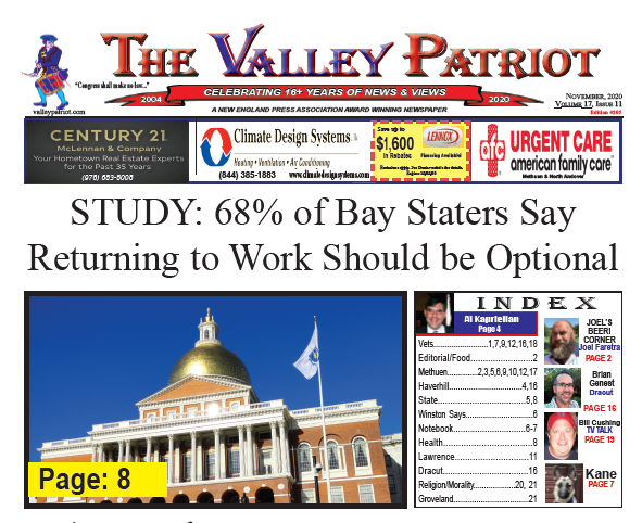 The Valley Patriot Print Edition – November, 2020