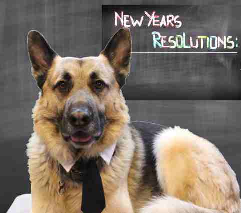 KANE’S KORNER ~ New Year’s the History and Resolutions